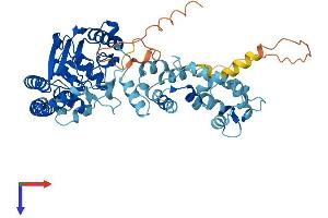 AlphaFold protein structure predicition of Human Recombinant LPCAT2 Protein, UniprotID Q7L5N7