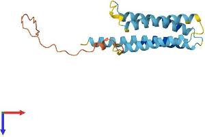 AlphaFold protein structure predicition of Human Recombinant CMTM7 Protein, UniprotID Q96FZ5