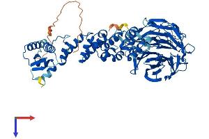 AlphaFold protein structure predicition of Human Recombinant KLHL24 Protein, UniprotID Q6TFL4