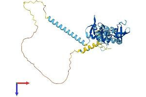 AlphaFold protein structure predicition of Mouse Recombinant Kin Protein, UniprotID Q8K339