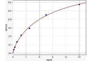 Ornithine Decarboxylase 1 (ODC1) ELISA Kit