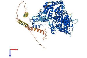 AlphaFold protein structure predicition of Human Recombinant MGAT5B Protein, UniprotID Q3V5L5