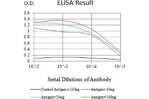 Black line: Control Antigen (100 ng),Purple line: Antigen (10 ng), Blue line: Antigen (50 ng), Red line:Antigen (100 ng) (SALL4 anticorps  (AA 96-359))
