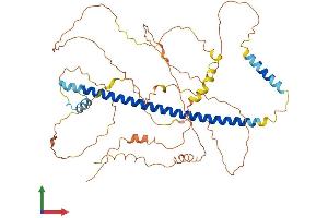 AlphaFold protein structure predicition of Human Recombinant CREB3L2 Protein, UniprotID Q70SY1