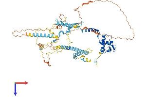 AlphaFold protein structure predicition of Human Recombinant NCAPH2 Protein, UniprotID Q6IBW4