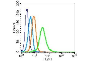 U937 cells probed with 	TRAF2 Polyclonal Antibody  at 1:100 for 30 minutes followed by incubation with a PE conjugated secondary (green) for 30 minutes compared to control cells (blue), secondary only (light blue) and isotype control (orange).
