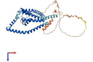 AlphaFold protein structure predicition of Mouse Recombinant Kcnk9 Protein, UniprotID Q3LS21