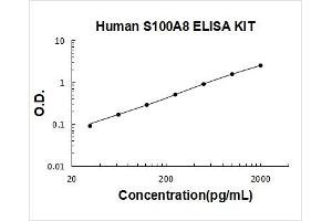 S100 Calcium Binding Protein A8 (S100A8) ELISA Kit