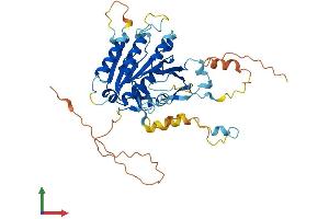 AlphaFold protein structure predicition of Mouse Recombinant Elp4 Protein, UniprotID Q9ER73