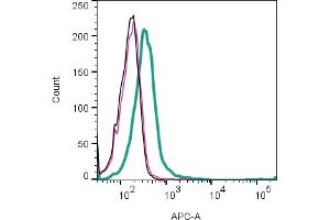 Cell surface detection of NaV1.