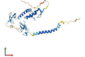 AlphaFold protein structure predicition of Mouse Recombinant Rnf144b Protein, UniprotID Q8BKD6