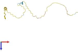 AlphaFold protein structure predicition of Human Recombinant PPDPF Protein, UniprotID Q9H3Y8