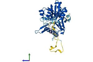 AlphaFold protein structure predicition of Human Recombinant PRPSAP1 Protein, UniprotID Q14558