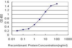 Detection limit for recombinant GST tagged PDK2 is approximately 0. (PDK2 anticorps  (AA 187-276))
