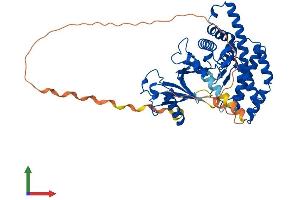 AlphaFold protein structure predicition of Human Recombinant CHKA Protein, UniprotID P35790