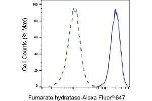Validation of Fumarate hydratase knockdown using flow cytometry. (FH anticorps)