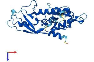 AlphaFold protein structure predicition of Human Recombinant ATG5 Protein, UniprotID Q9H1Y0