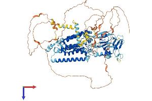 AlphaFold protein structure predicition of Human Recombinant RHBDF2 Protein, UniprotID Q6PJF5