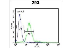 P6 Antibody (Center) (ABIN653148 and ABIN2842720) flow cytometric analysis of 293 cells (right histogram) coared to a negative control cell (left histogram).