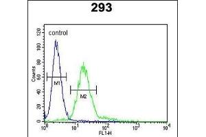 P6 Antibody (Center) (ABIN653148 and ABIN2842720) flow cytometric analysis of 293 cells (right histogram) coared to a negative control cell (left histogram). (MPP6 anticorps  (AA 360-388))