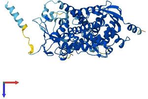 AlphaFold protein structure predicition of Human Recombinant CYP17A1 Protein, UniprotID P05093