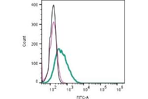 Cell surface detection of CD81 by direct flow cytometry in live intact human Raji lymphoblast B-cell line: + Rabbit IgG Isotype Control-FITC (ABIN7582044). (CD81 anticorps  (Extracellular) (FITC))
