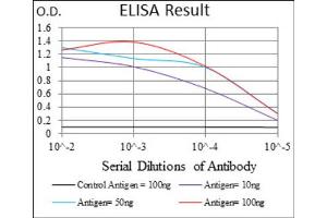 Red: Control Antigen (100ng) ; Purple: Antigen (10ng) ; Green: Antigen (50ng) ; Blue: Antigen (100ng). (IL3RA anticorps  (AA 200-305))