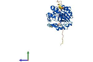 AlphaFold protein structure predicition of Human Recombinant SULT2B1 Protein, UniprotID O00204