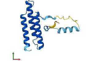 AlphaFold protein structure predicition of Human Recombinant LYRM1 Protein, UniprotID O43325