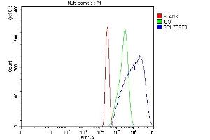 Flow Cytometry analysis of Neuro-2a cells using anti-splicing factor 1 antibody (ABIN7600194). (Splicing Factor 1 anticorps  (AA 160-266))