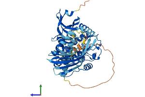 AlphaFold protein structure predicition of Mouse Recombinant Camk2a Protein, UniprotID P11798