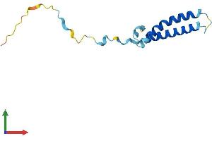 AlphaFold protein structure predicition of Human Recombinant TMEM230 Protein, UniprotID Q96A57