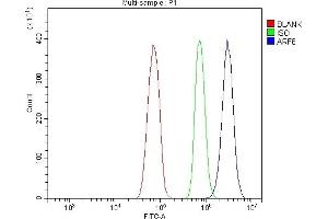 Flow Cytometry analysis of RH35 cells using anti-ARF6 antibody (ABIN7602413). (ARF6 anticorps  (AA 75-175))