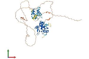 AlphaFold protein structure predicition of Human Recombinant ETS1 Protein, UniprotID P14921