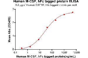 ELISA plate pre-coated by 2 μg/mL (100 μL/well) Human R, His tagged protein ABIN6961125, ABIN7042279 and ABIN7042280 can bind Human M-CSF, hFc Tagged protein(ABIN7092715, ABIN7272254 and ABIN7272255) in a linear range of 0.