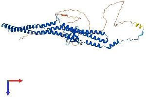 AlphaFold protein structure predicition of Mouse Recombinant Pacsin2 Protein, UniprotID Q9WVE8