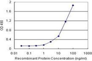 Sandwich ELISA detection sensitivity ranging from 1 ng/mL to 100 ng/mL. (ABCC10 (Humain) Matched Antibody Pair)