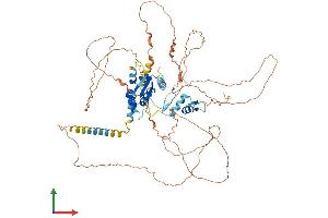 AlphaFold protein structure predicition of Human Recombinant ZBTB5 Protein, UniprotID O15062