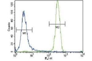 CSF1R antibody flow cytometric analysis of NCI-H460 cells (right histogram) compared to a negative control (left histogram). (CSF1R anticorps  (AA 940-971))