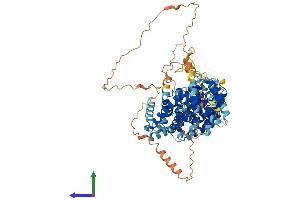 AlphaFold protein structure predicition of Human Recombinant LINS1 Protein, UniprotID Q8NG48