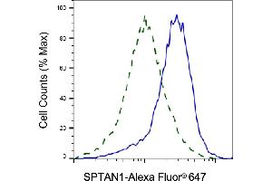 Validation of SPTAN1 knockdown using flow cytometry. (SPTAN1 anticorps)