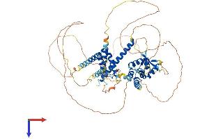 AlphaFold protein structure predicition of Human Recombinant NOL4 Protein, UniprotID O94818