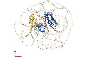 AlphaFold protein structure predicition of Human Recombinant PLEKHG2 Protein, UniprotID Q9H7P9