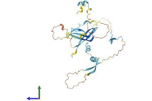AlphaFold protein structure predicition of Human Recombinant SLC7A6OS Protein, UniprotID Q96CW6