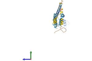 AlphaFold protein structure predicition of Human Recombinant GJB1 Protein, UniprotID P08034