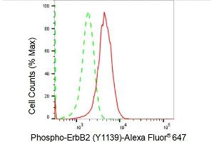 Flow cytometric analysis of Phospho-ErbB2 (Y) expression in HeLa cells using Phospho-ErbB2 (Y) antibody (ABIN7800159), 1:2,000).