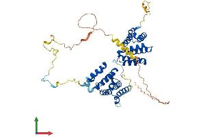 AlphaFold protein structure predicition of Human Recombinant PDCD4 Protein, UniprotID Q53EL6