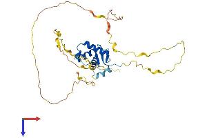 AlphaFold protein structure predicition of Human Recombinant FOXE3 Protein, UniprotID Q13461