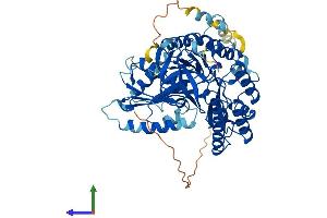 AlphaFold protein structure predicition of Mouse Recombinant Cdk5rap1 Protein, UniprotID Q8BTW8
