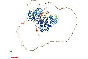AlphaFold protein structure predicition of Human Recombinant MAPK15 Protein, UniprotID Q8TD08